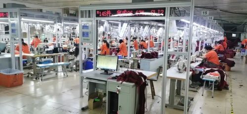 客服火线入职备战天猫双11，流水线24小时赶工，不夜厂点亮江苏咨询策划服务