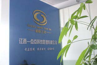 圣旺食品 专业咨询策划服务，助力打造一流快餐品牌